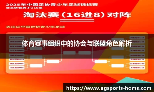 体育赛事组织中的协会与联盟角色解析